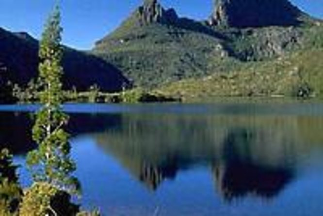 Cradle Mountain National Park Day Tour from Launceston - Tourism TAS