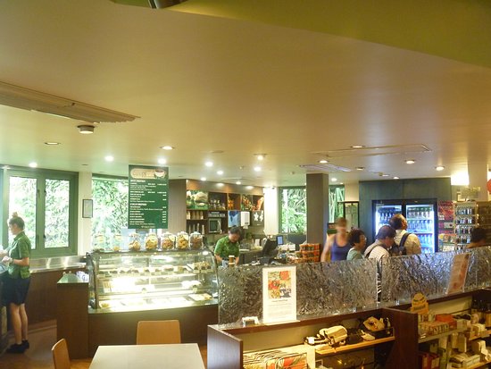 Skyrail Canopy Cafe - Tourism TAS